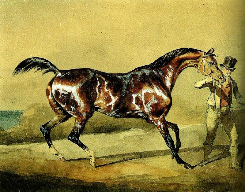 charles emile callande cheval a' l' entrainement oil painting picture